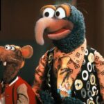 The Enchanting World of the Muppet with Long Hooked Beak