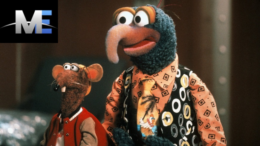 The Enchanting World of the Muppet with Long Hooked Beak