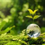 Recifest Empowering Communities for a Greener Future